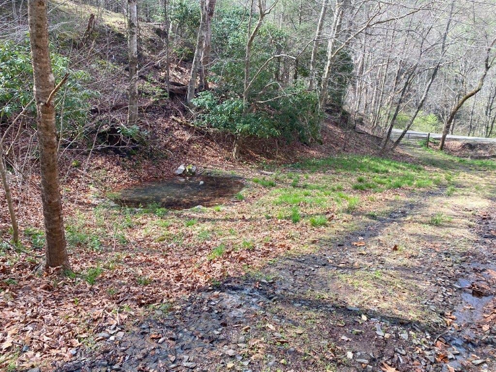 Tbd Sowers Road Northeast Floyd, VA 24091 - Photo 22 of 30 Gallery Image 22