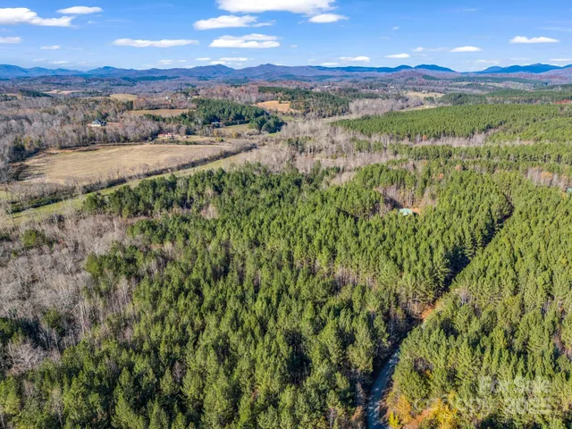 a view of outdoor space with trees