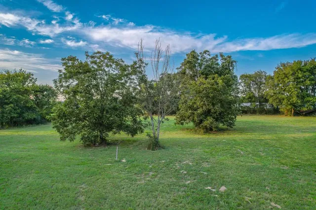 a big yard with lots of green space and plants