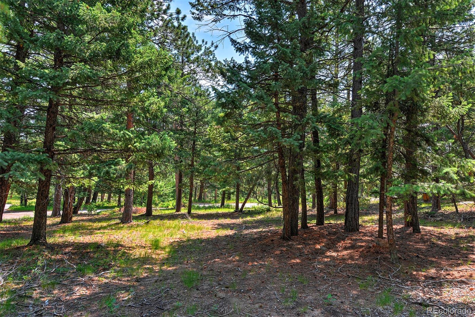 8545 Eagle Cliff Road Conifer, CO 80433 - Photo 19 of 21 Gallery Image 19