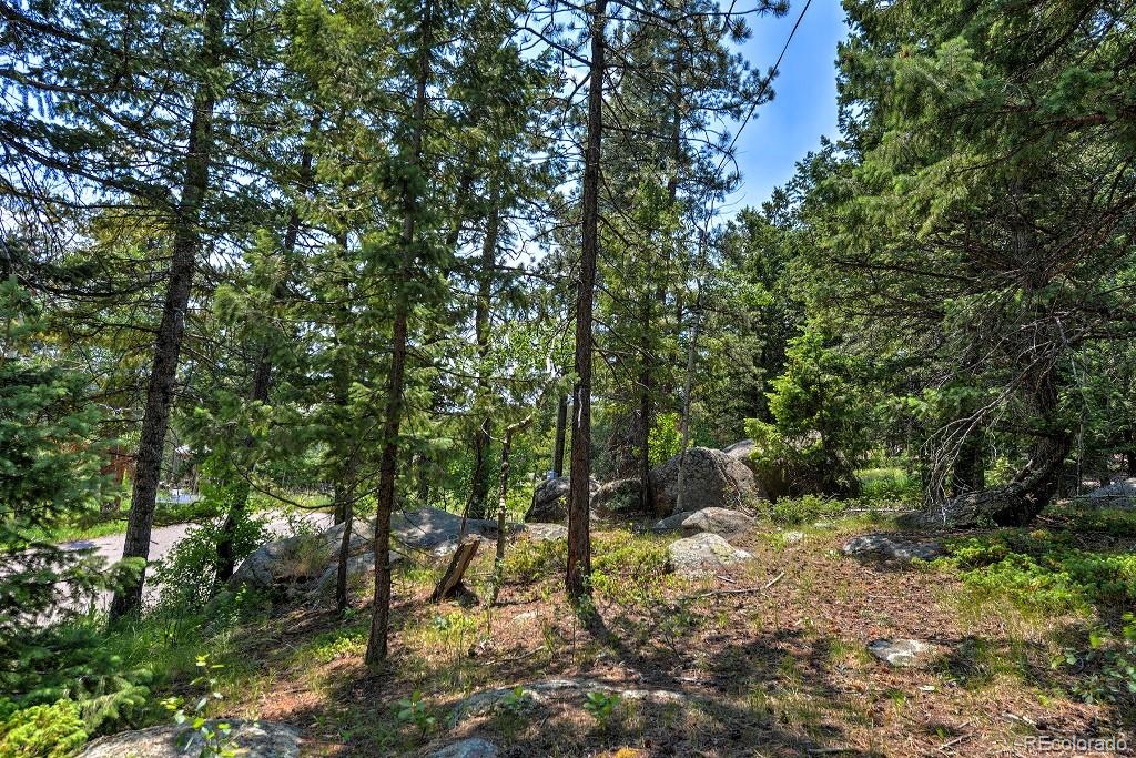 8545 Eagle Cliff Road Conifer, CO 80433 - Photo 20 of 21 Gallery Image 20