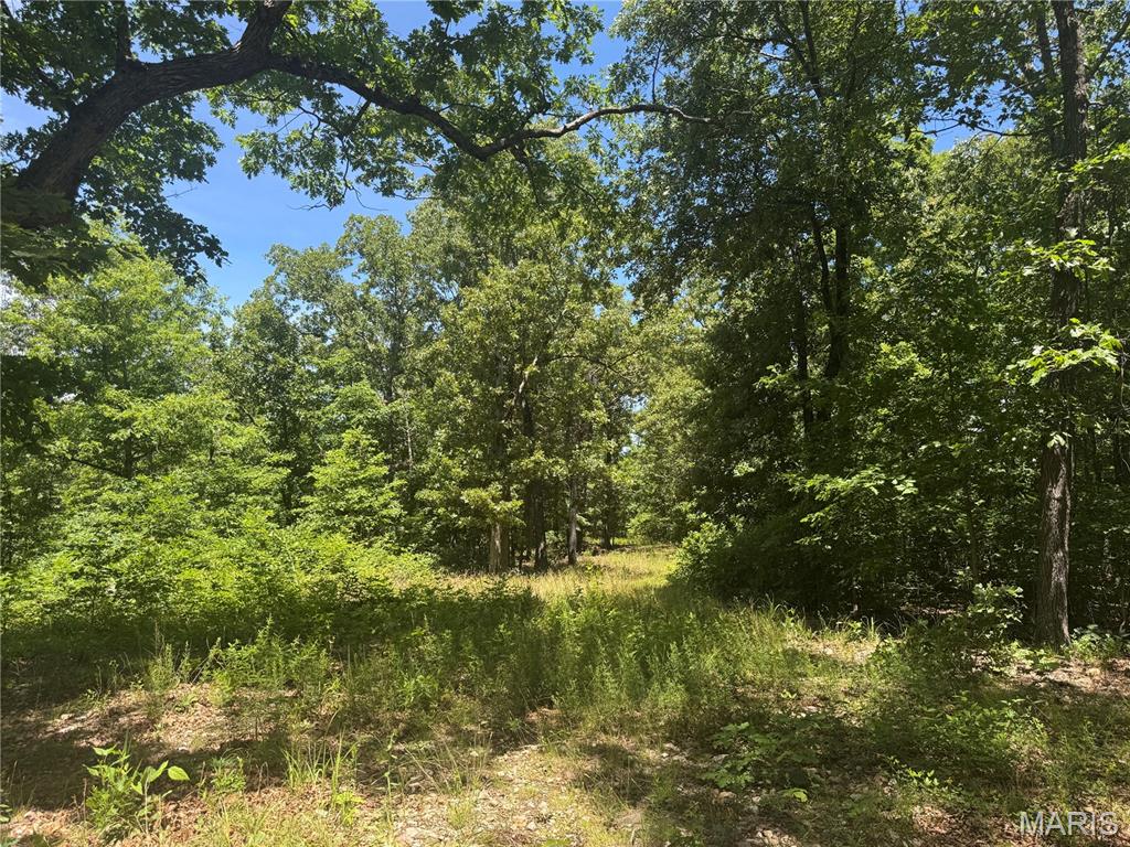 N/a South Klein Road Steelville, MO 65565 - Photo 5 of 6