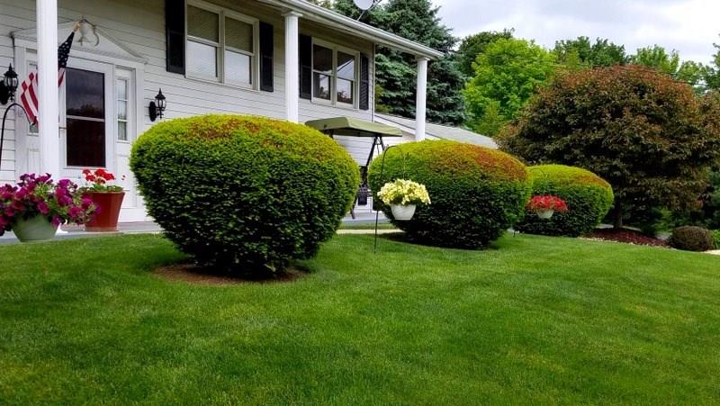 146 East Brewster Road Butler, PA 16001 - Photo 23 of 25 Gallery Image 23