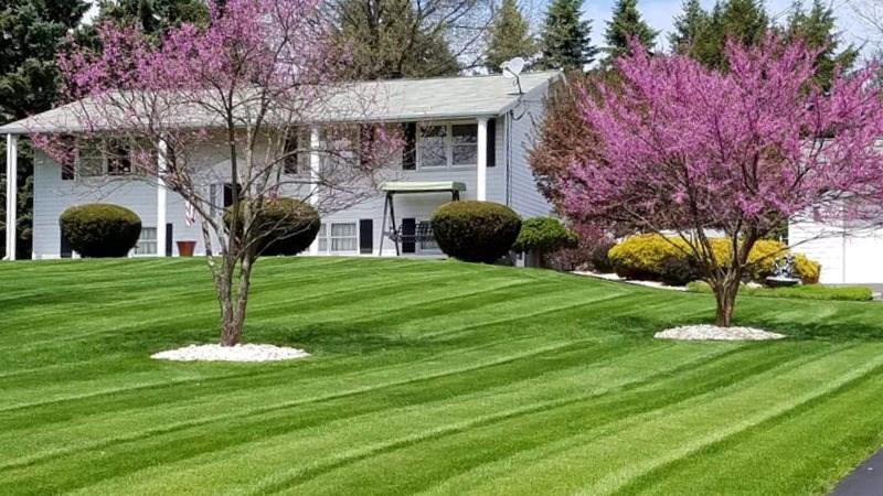 146 East Brewster Road Butler, PA 16001 - Photo 24 of 25 Gallery Image 24