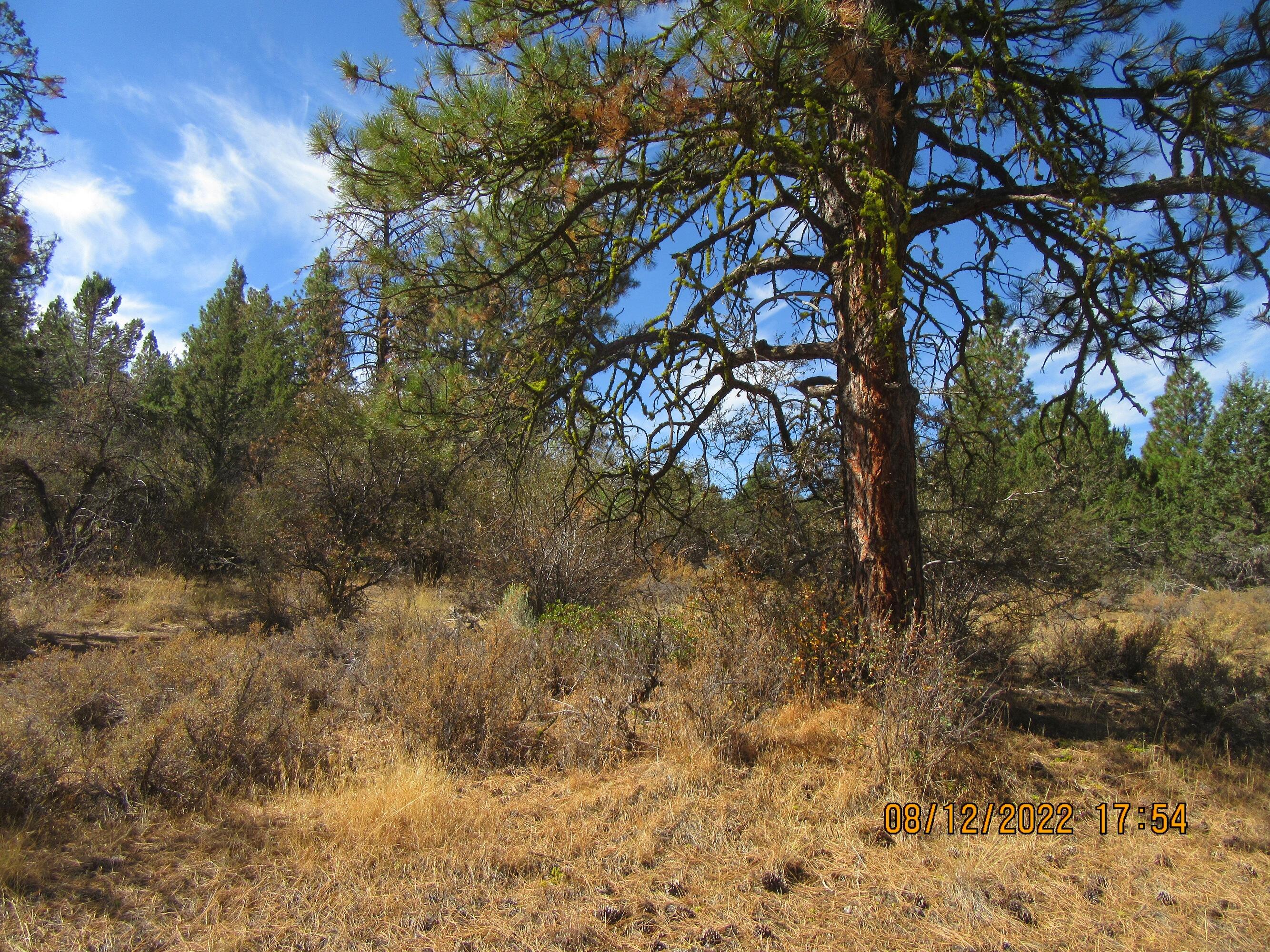 Lot 2 Tiger Lane Bonanza, OR 97623 - Photo 2 of 12 Tiger 8