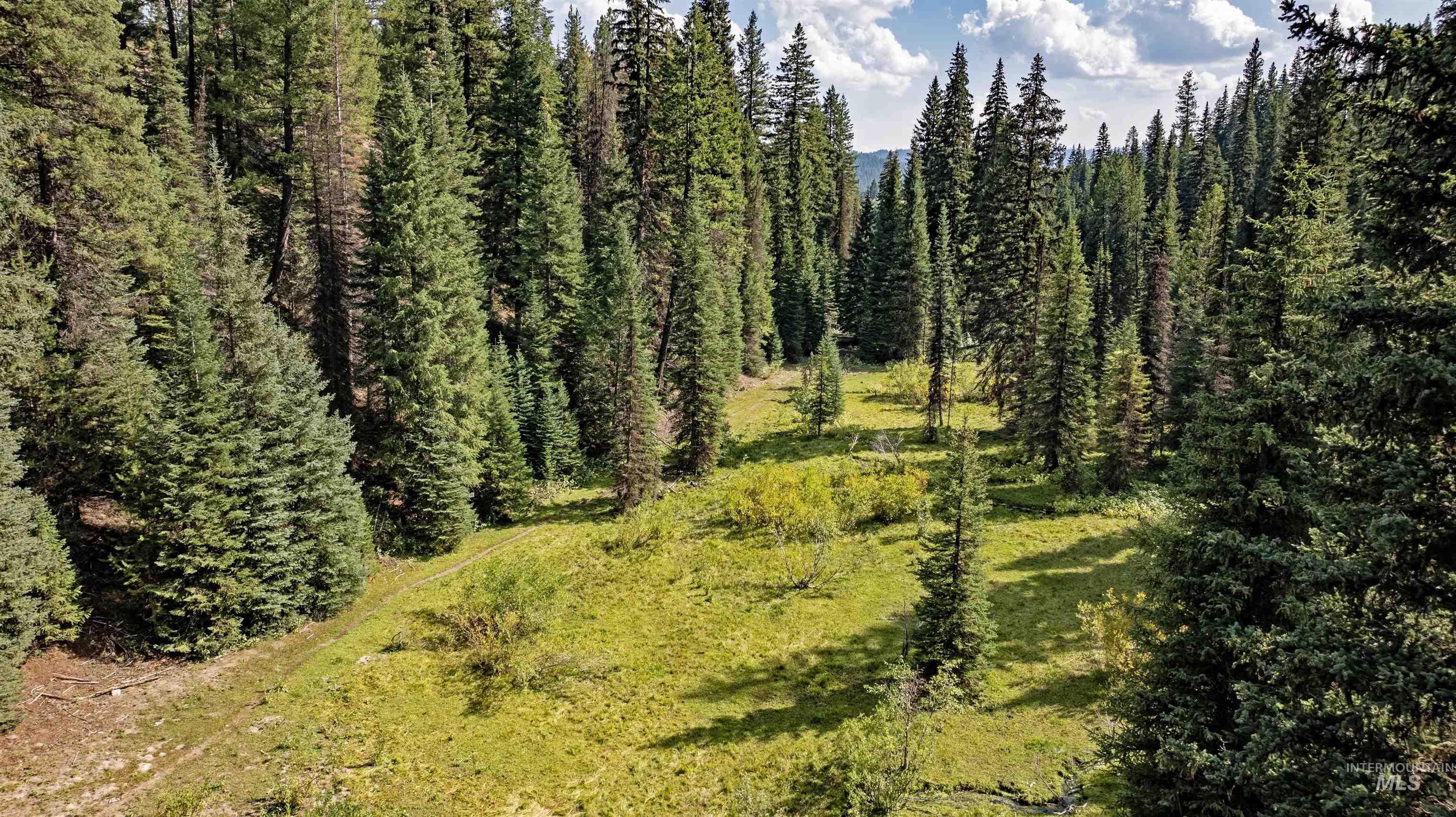 View of undeveloped land