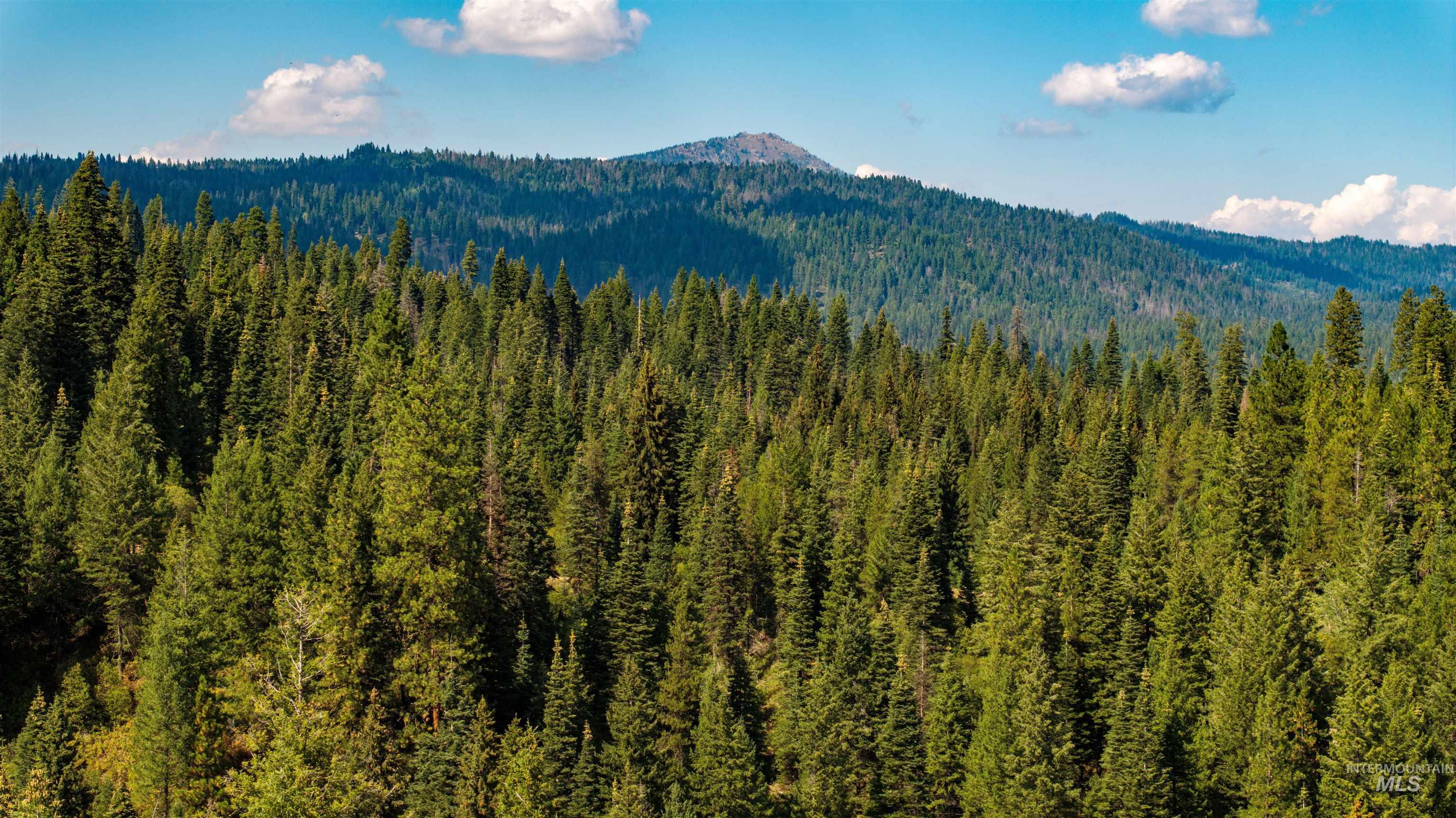 2 High Valley Road Cascade, ID 83611 - Photo 13 of 18 View of mountain background with a forest