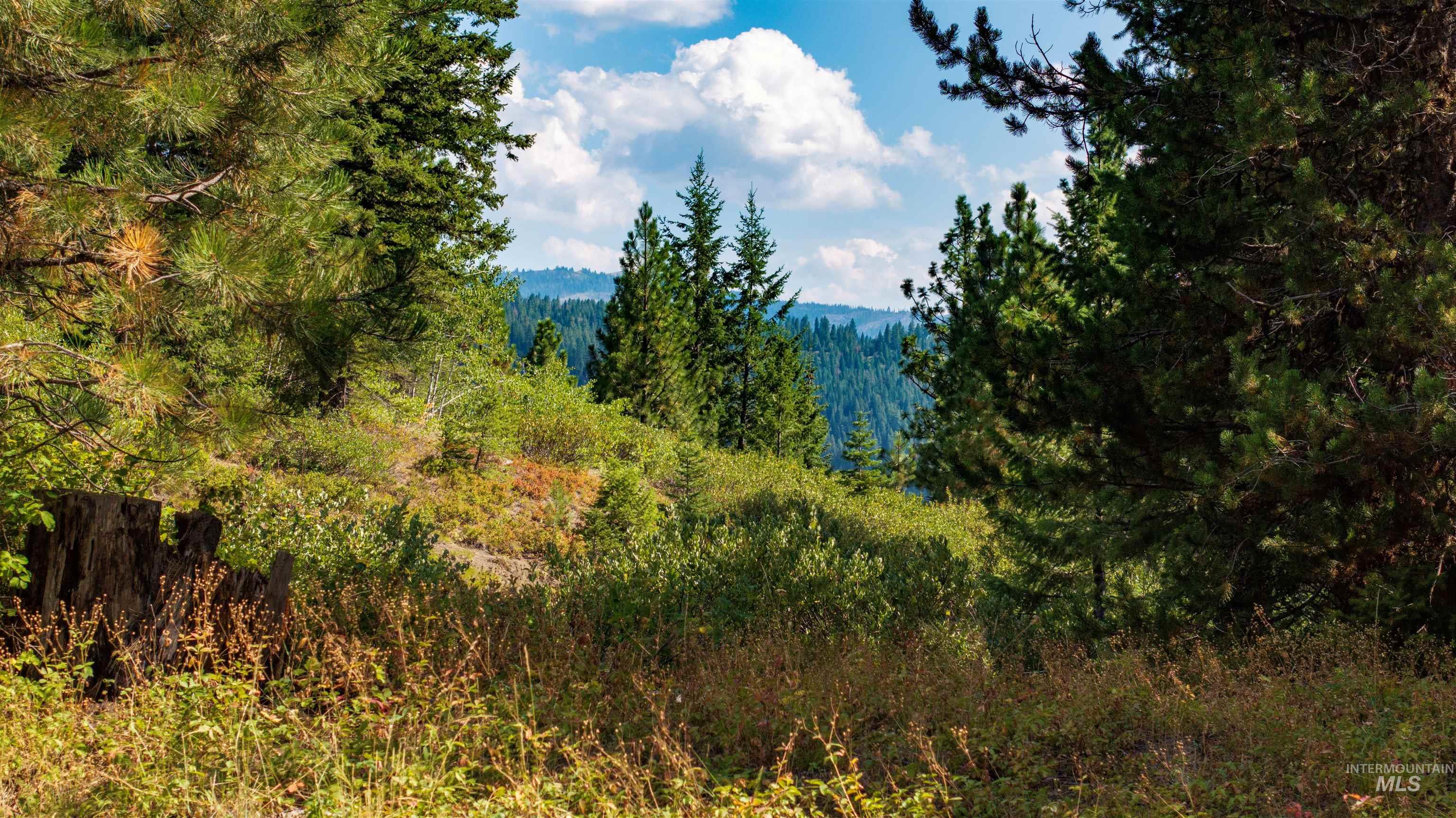 2 High Valley Road Cascade, ID 83611 - Photo 14 of 18 Mountain view with a heavily wooded area