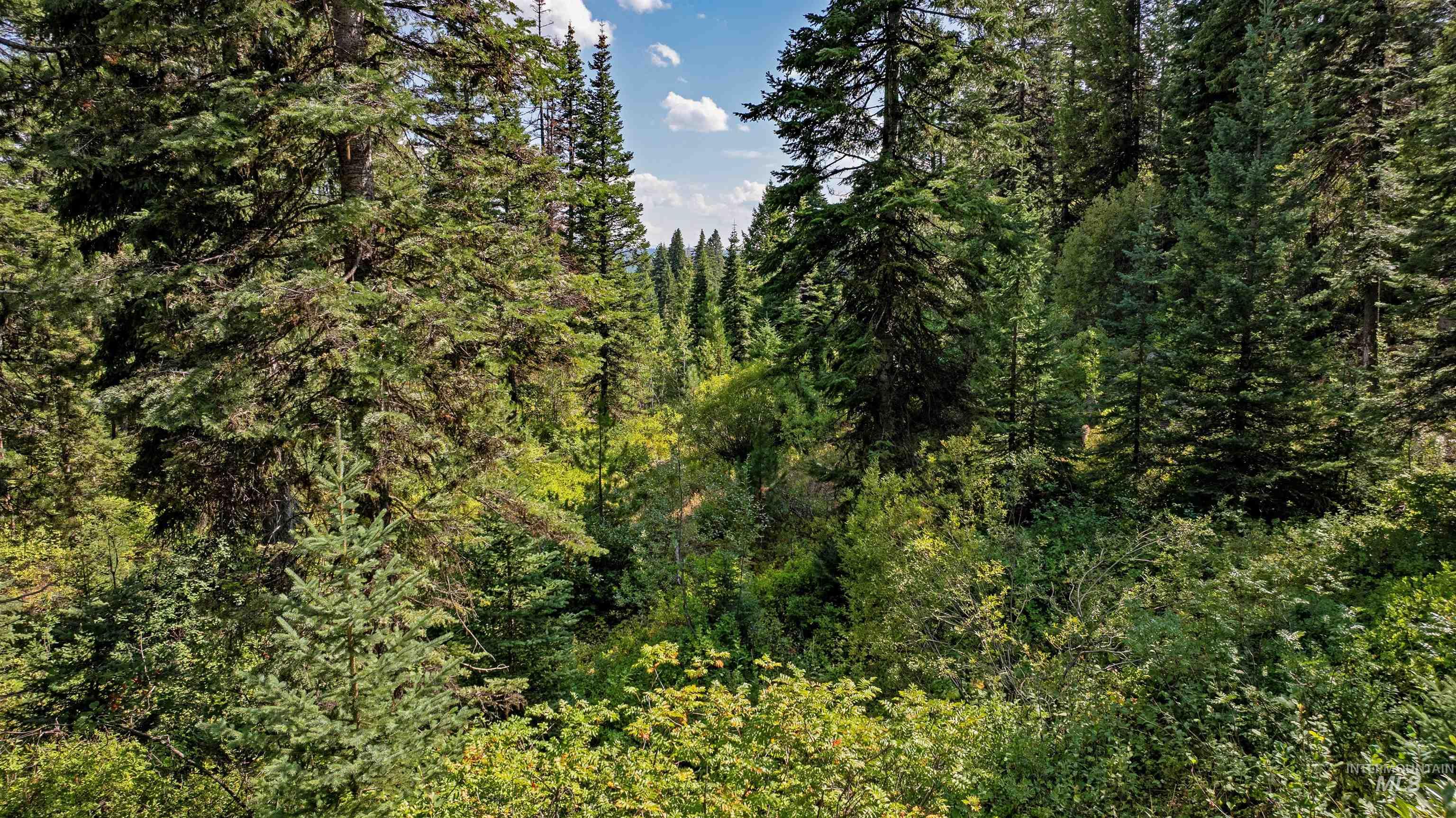 2 High Valley Road Cascade, ID 83611 - Photo 15 of 18 View of woods
