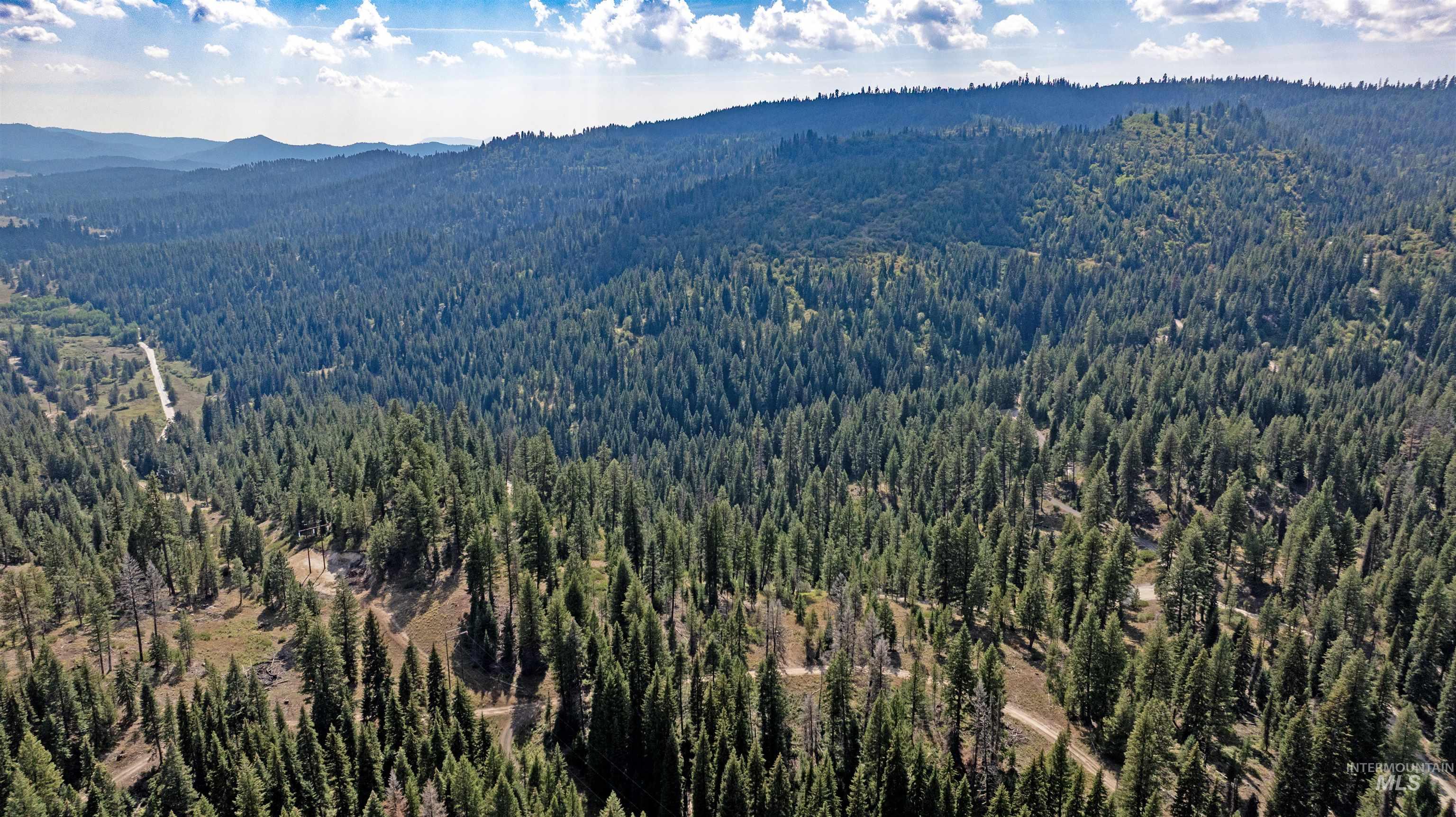 2 High Valley Road Cascade, ID 83611 - Photo 2 of 18 Aerial view of a forest and a mountainous background
