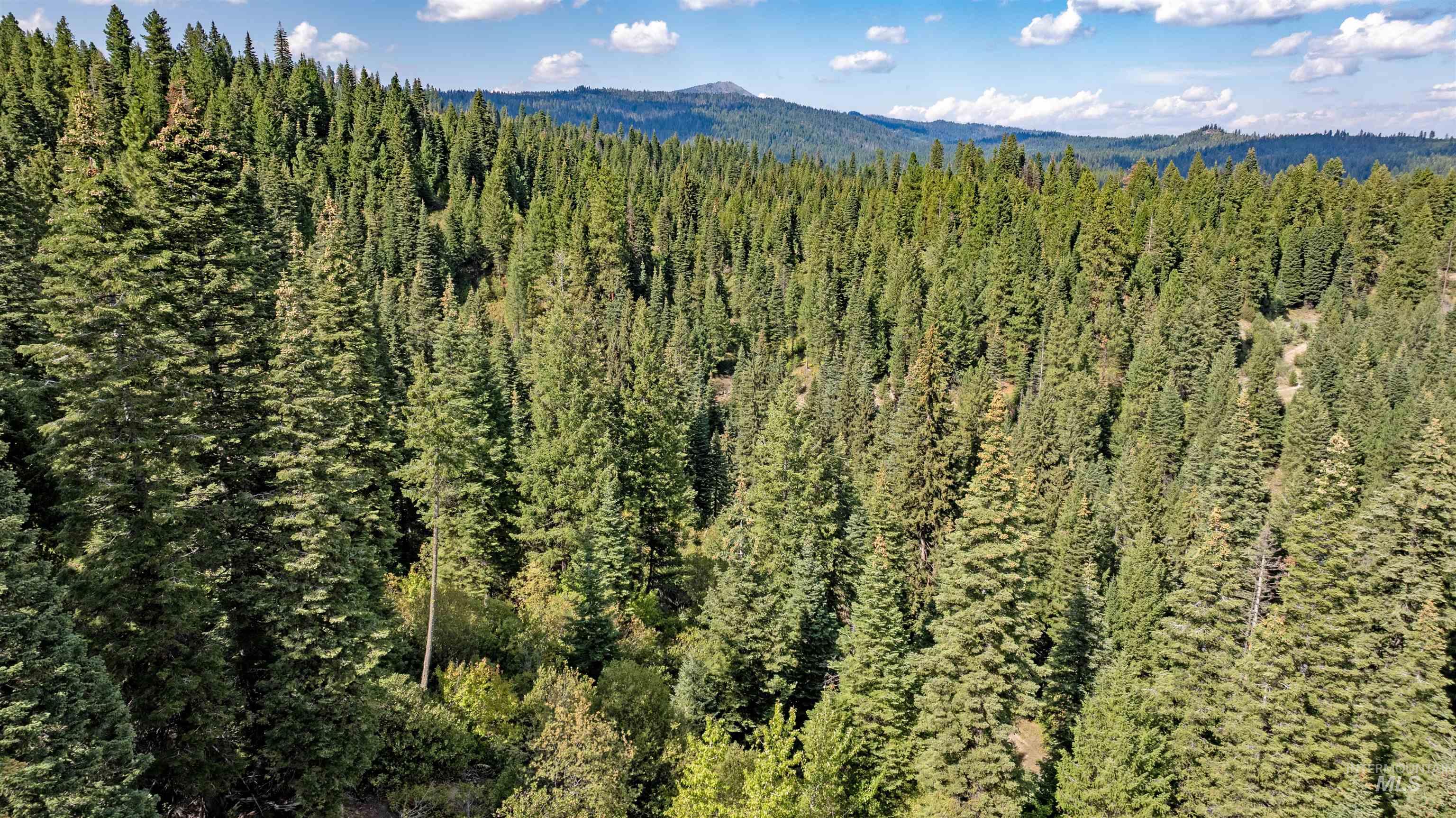 2 High Valley Road Cascade, ID 83611 - Photo 7 of 18 Mountain view featuring a heavily wooded area