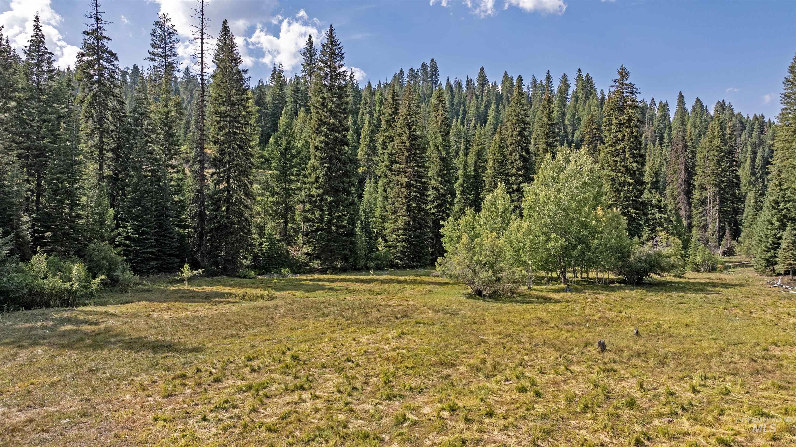 2 High Valley Road Cascade, ID 83611 - Photo 8 of 18 View of undeveloped land