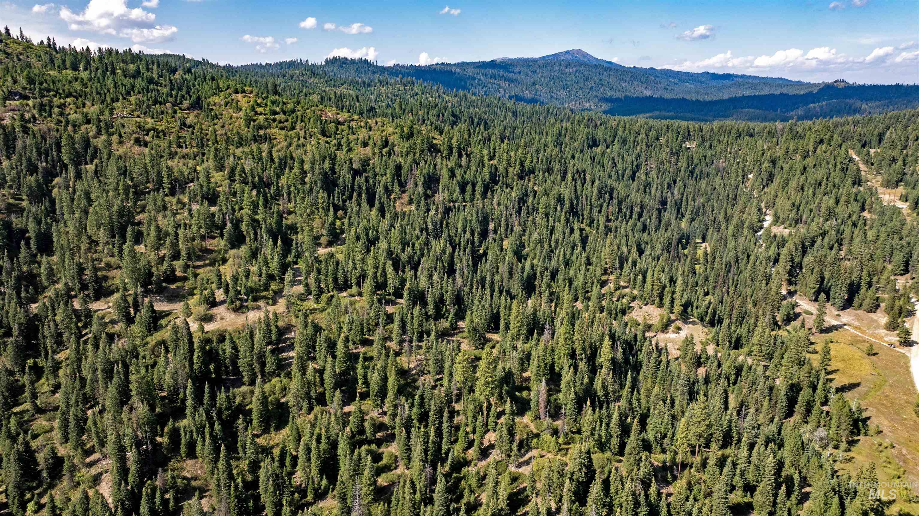 2 High Valley Road Cascade, ID 83611 - Photo 10 of 18 Bird's eye view of a heavily wooded area and a mountainous background