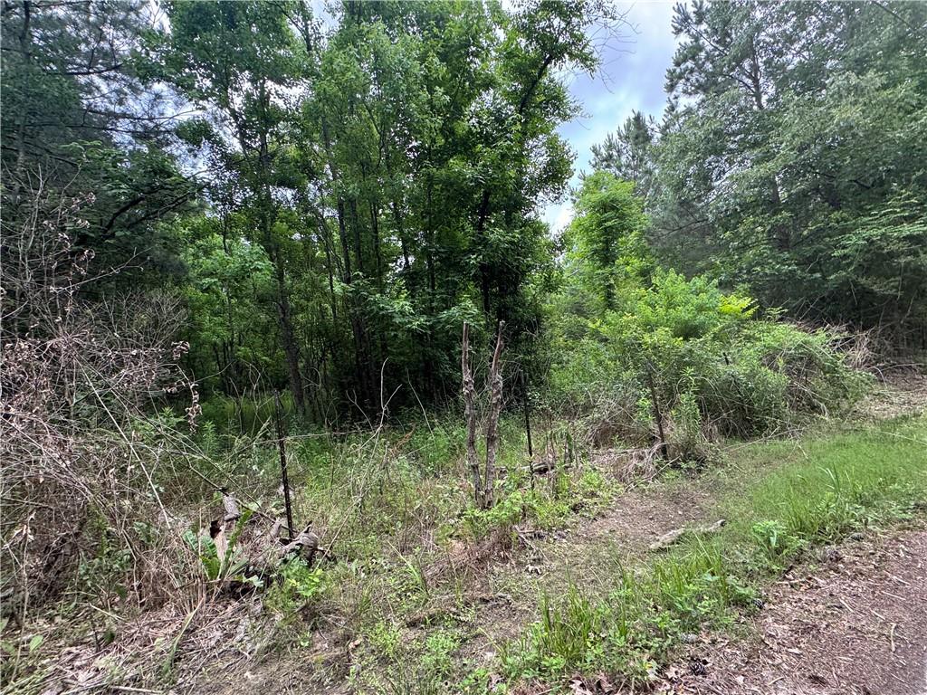 121 Ryland Road Pineville, LA 71360 - Photo 59 of 60