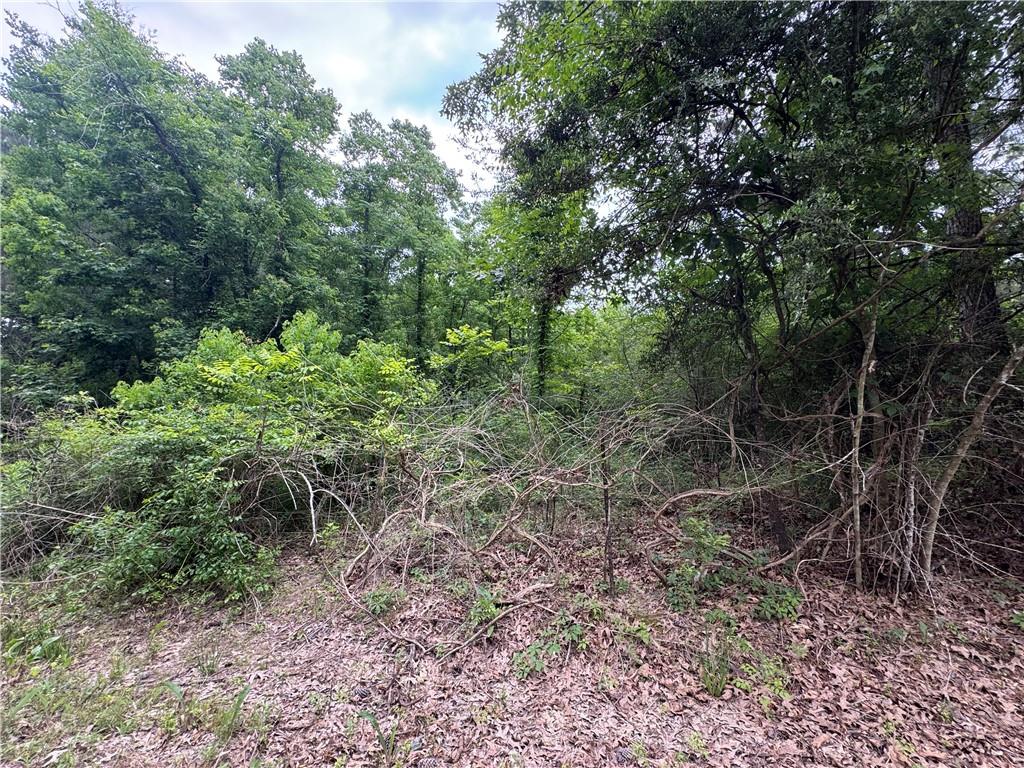 121 Ryland Road Pineville, LA 71360 - Photo 60 of 60