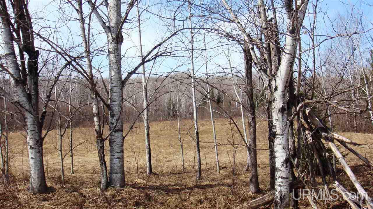 39819 Lower Worham Road Chassell, MI 49916 - Photo 27 of 31 Gallery Image 27