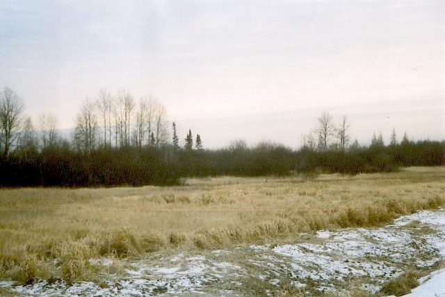 Xx Dass Road Meadowlands, MN 55724 - Photo 4 of 9 Gallery Image 4