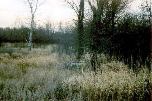 Xx Dass Road Meadowlands, MN 55724 - Photo 7 of 9 Gallery Image 7