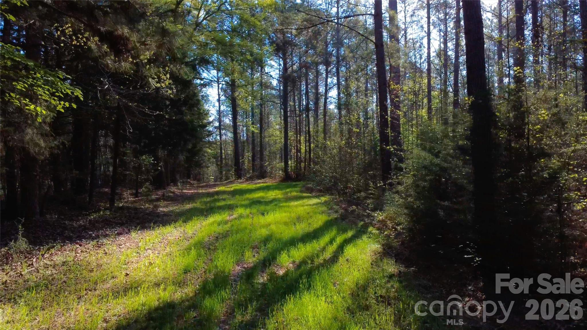 0 Bobby Faucette Road, Unit 5 Jonesville, SC 29353 - Photo 3 of 12 a view of backyard with green space