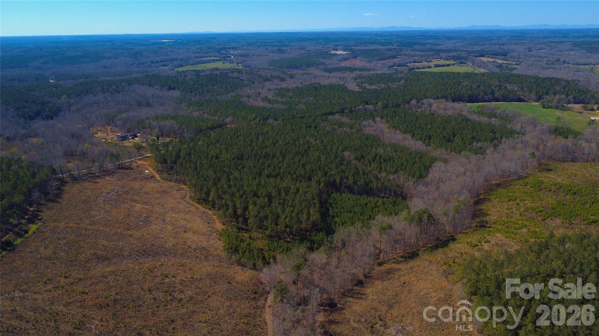 0 Bobby Faucette Road, Unit 5 Jonesville, SC 29353 - Photo 5 of 12