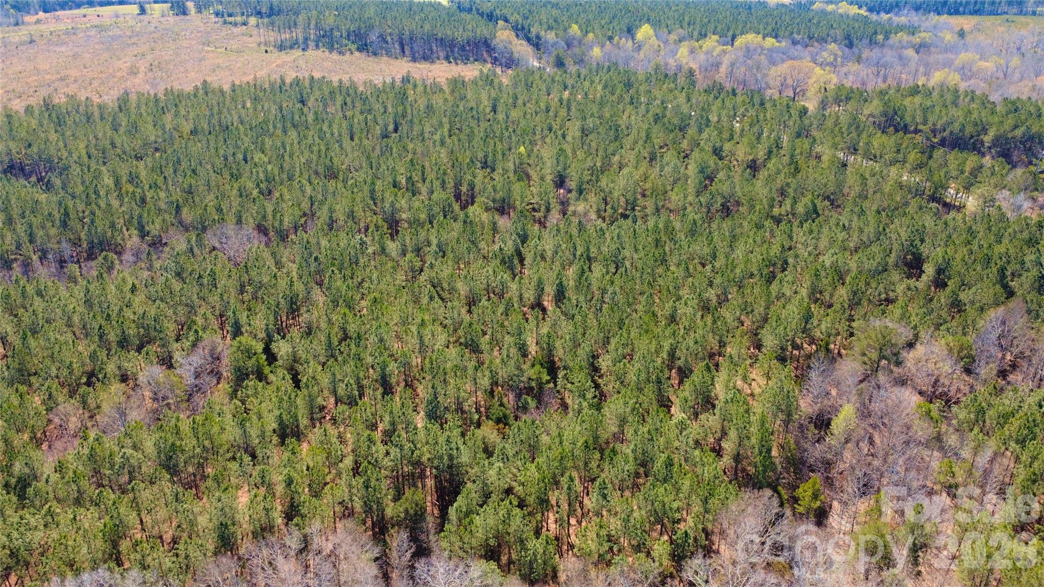 0 Bobby Faucette Road, Unit 5 Jonesville, SC 29353 - Photo 7 of 12