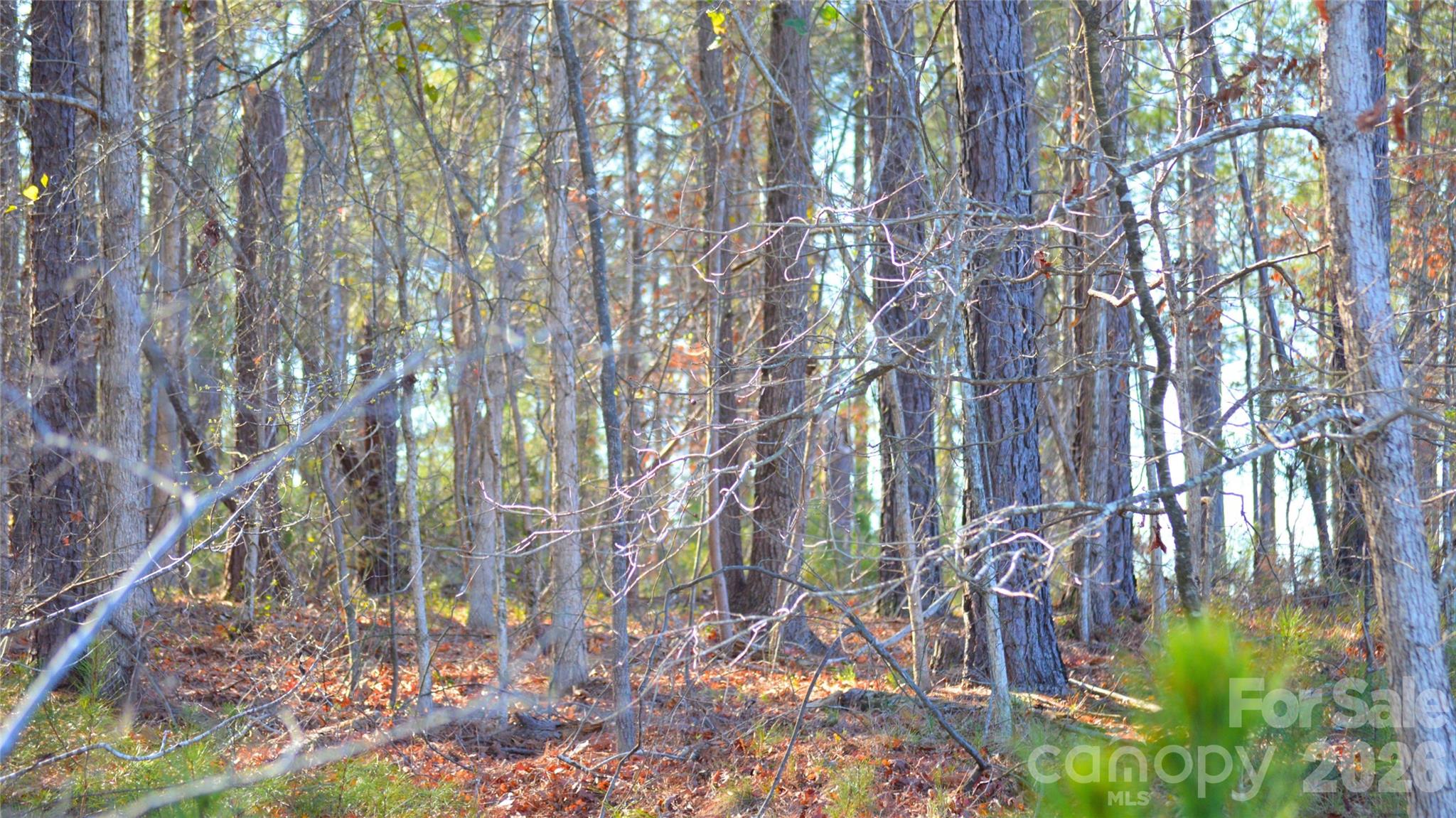 0 Bobby Faucette Road, Unit 5 Jonesville, SC 29353 - Photo 8 of 12