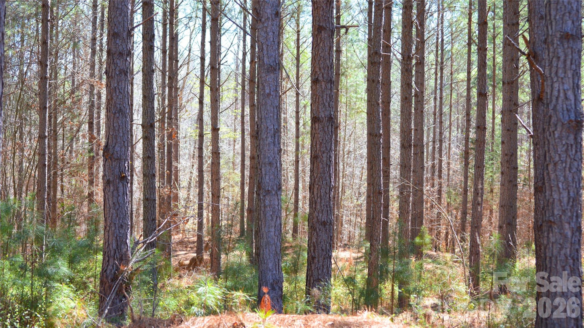 0 Bobby Faucette Road, Unit 5 Jonesville, SC 29353 - Photo 9 of 12