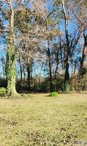 $250,000 | 10522 Shadow Lake Drive, Geismar, LA 70734