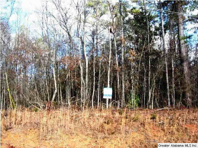0 Coleman Street, Unit 55 AC Heflin, AL 36264 - Photo 2 of 6