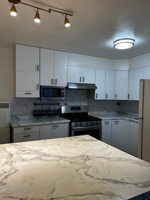 520 North Wolf Road, Unit 203 Hillside, IL 60162 - Photo 5 of 19