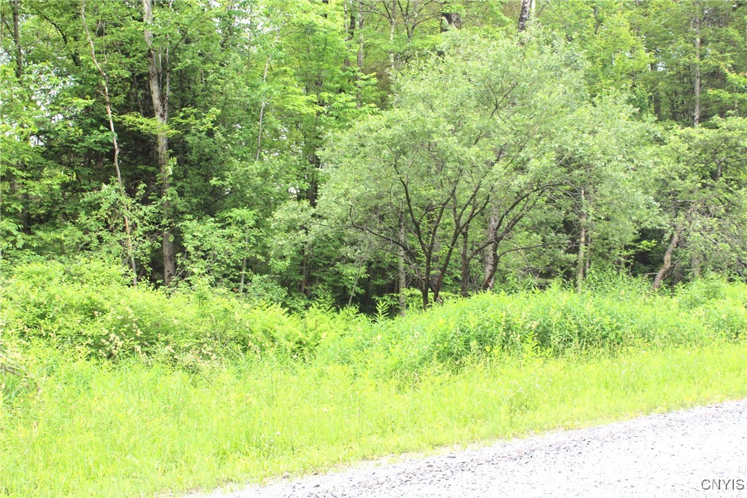 Milk Road Camden, NY 13316 - Photo 2 of 2