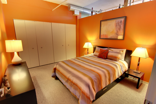 1530 South State Street, Unit 1004 Chicago, IL 60605 - Photo 12 of 13