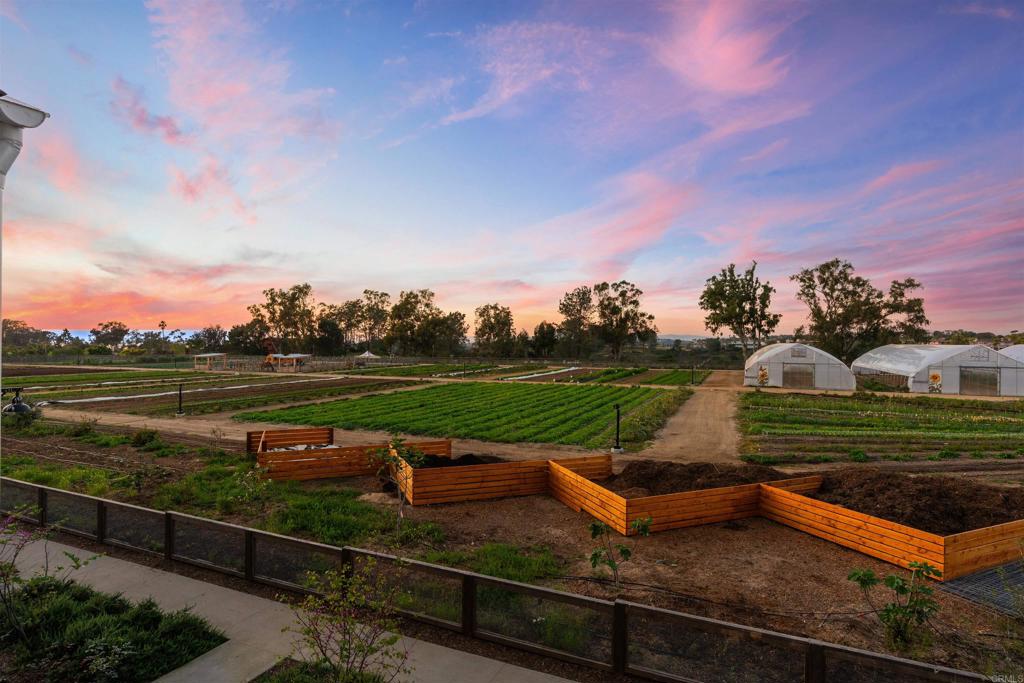 1044 Palmaria Court Encinitas, CA 92024 - Photo 39 of 71