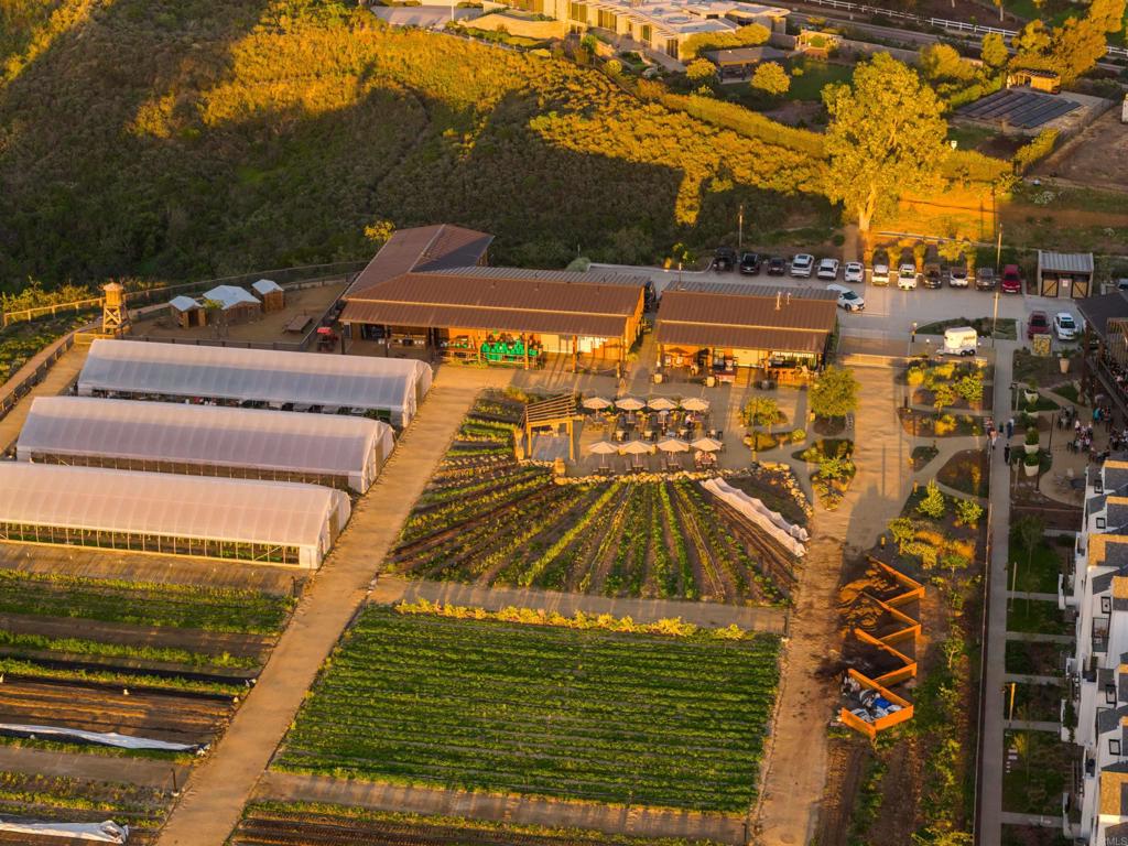 1044 Palmaria Court Encinitas, CA 92024 - Photo 41 of 71