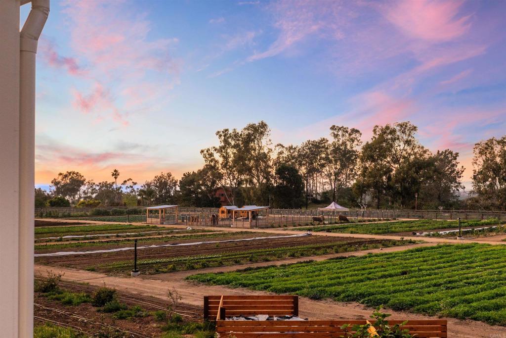 1044 Palmaria Court Encinitas, CA 92024 - Photo 44 of 71