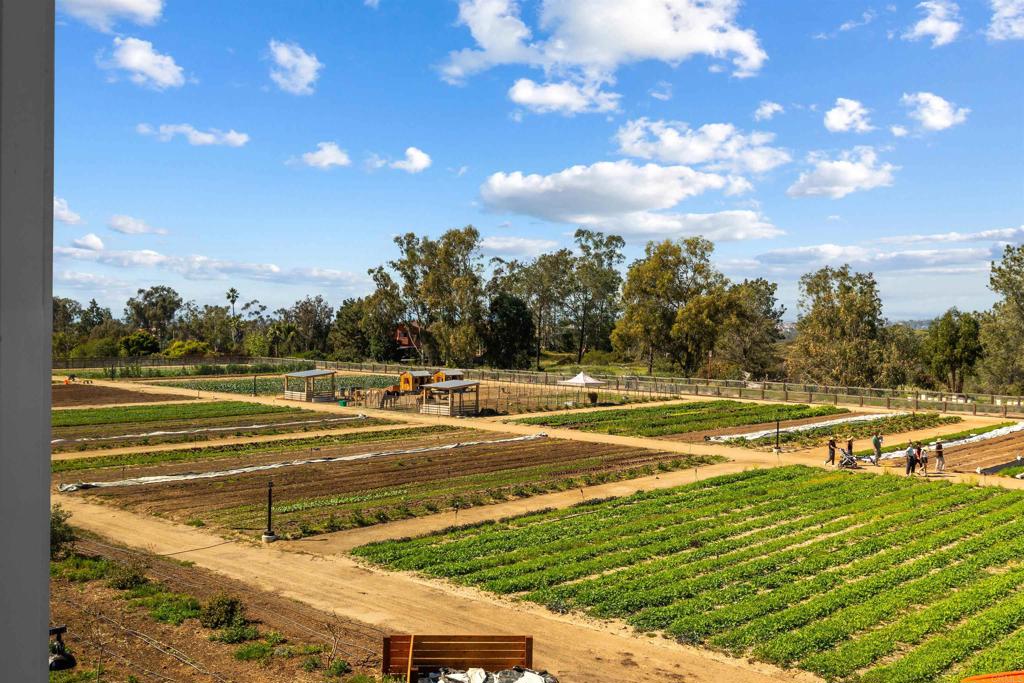1044 Palmaria Court Encinitas, CA 92024 - Photo 60 of 71