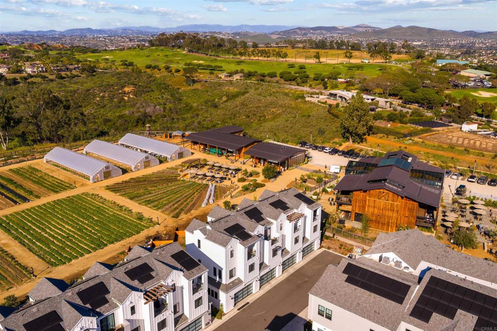 1044 Palmaria Court Encinitas, CA 92024 - Photo 62 of 71