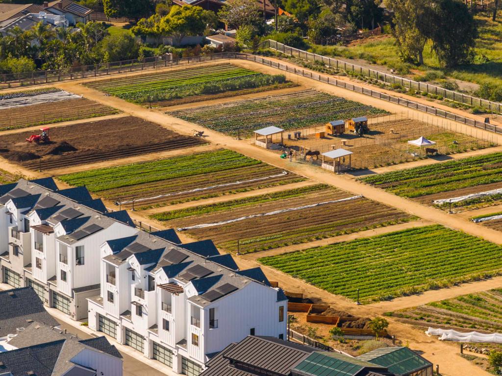 1044 Palmaria Court Encinitas, CA 92024 - Photo 64 of 71