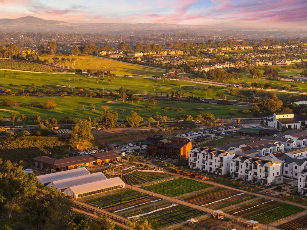 1044 Palmaria Court Encinitas, CA 92024 - Photo 7 of 71