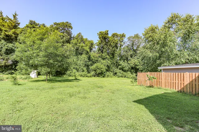 a view of a yard with a tree