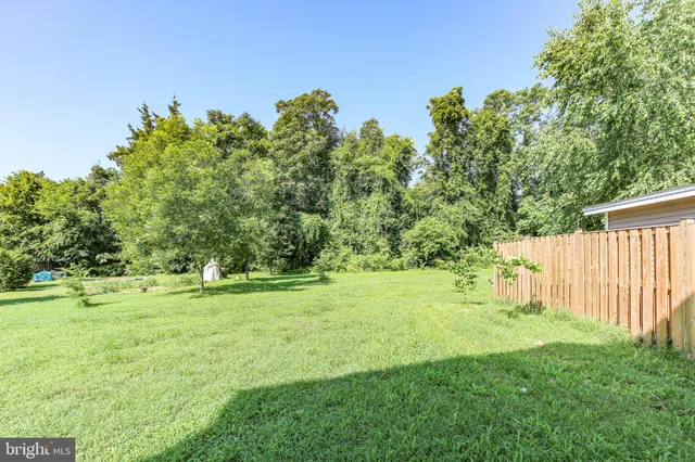 a view of a park with a tree in the background