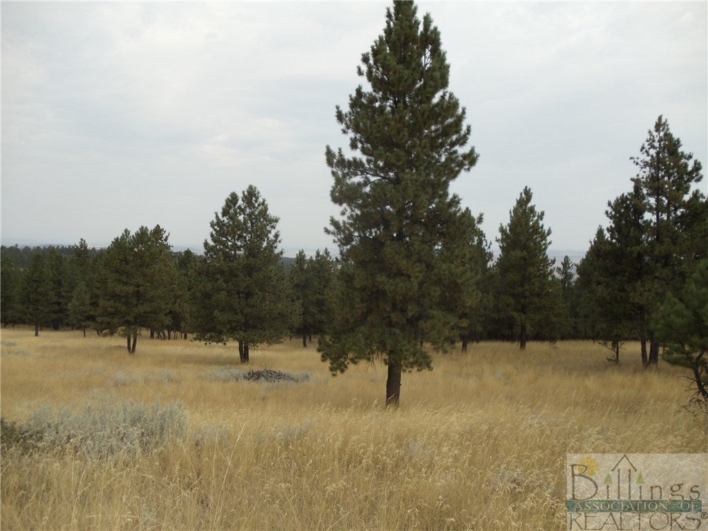 9 Shane Ridge Road Columbus, MT 59019 - Photo 1 of 1 Gallery Image 1
