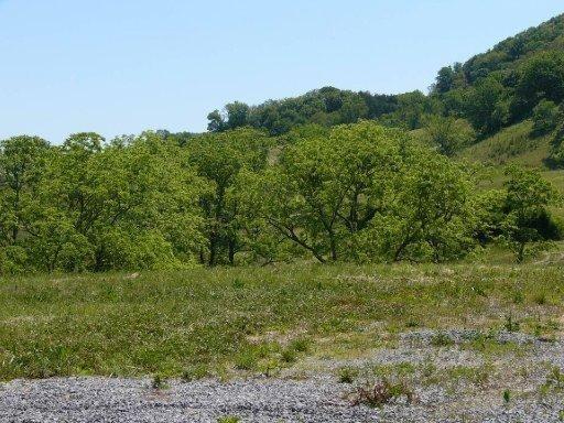 Lot 119 Russell Brothers Road Sharps Chapel, TN 37866 - Photo 4 of 4 Lot# 119-4