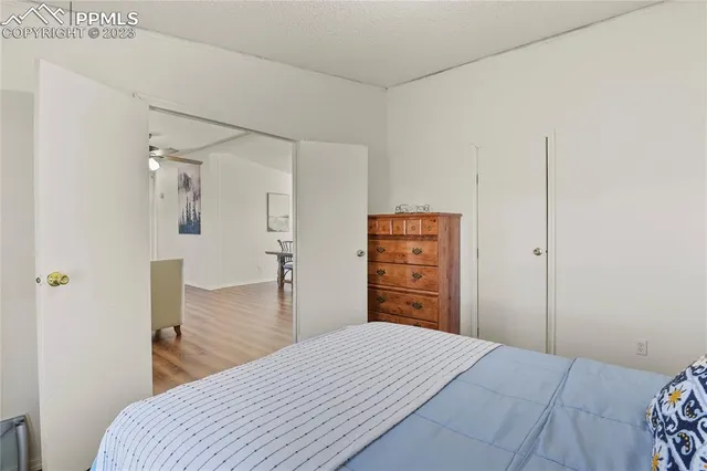 a bedroom with a bed and a closet