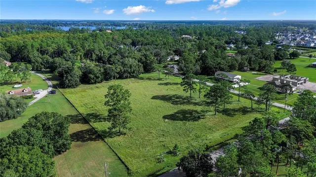 a view of a lush green forest