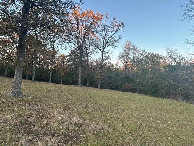a view of outdoor space and yard