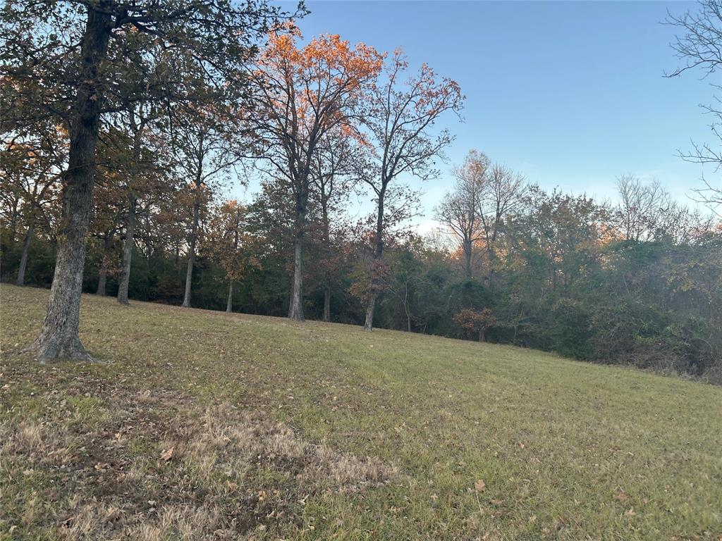15 East R E Goliad Street Log Cabin, TX 75148 - Photo 7 of 7 a view of outdoor space and yard