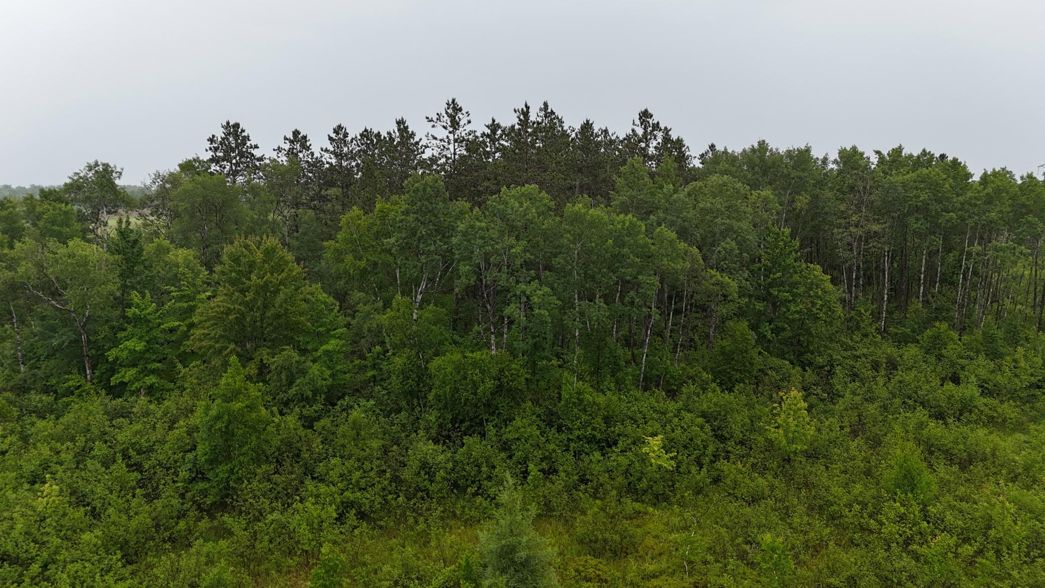 Tbd Klejeski Road Sandstone, MN 55072 - Photo 25 of 32