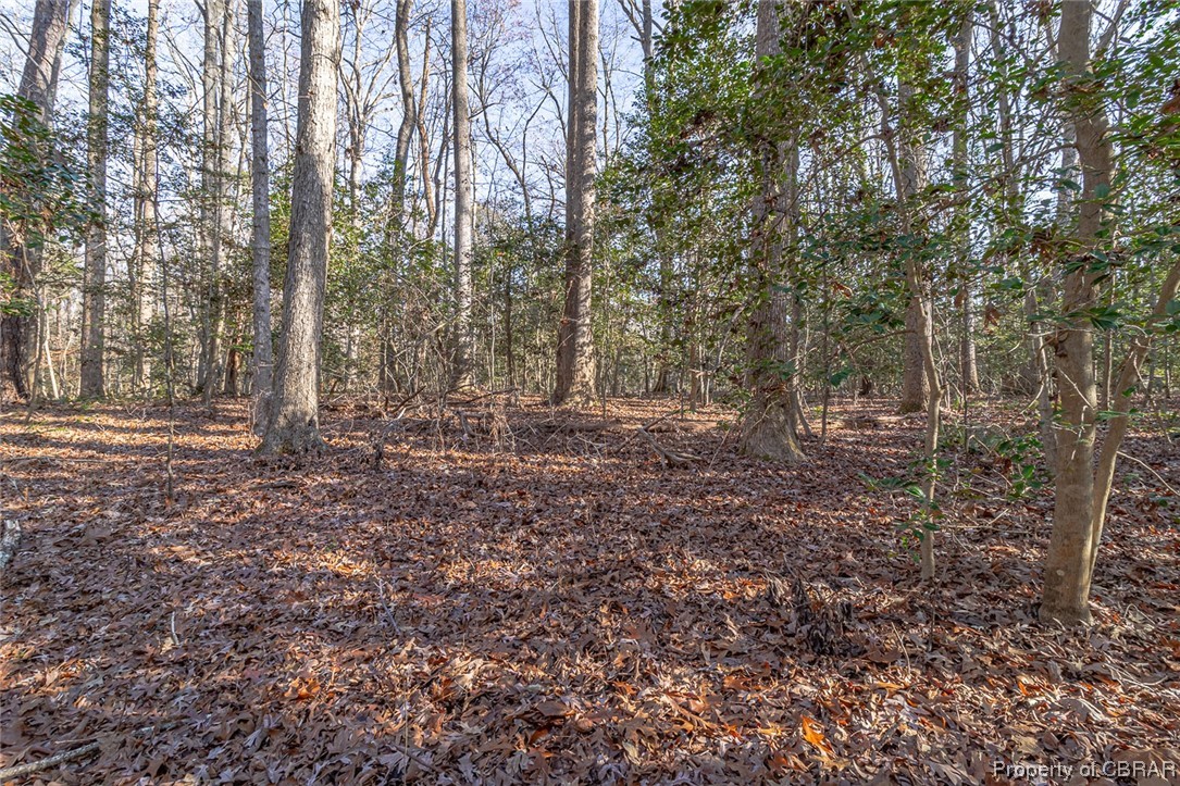 137 A Millenbeck Road Lancaster, VA 22503 - Photo 9 of 31 Gallery Image 9