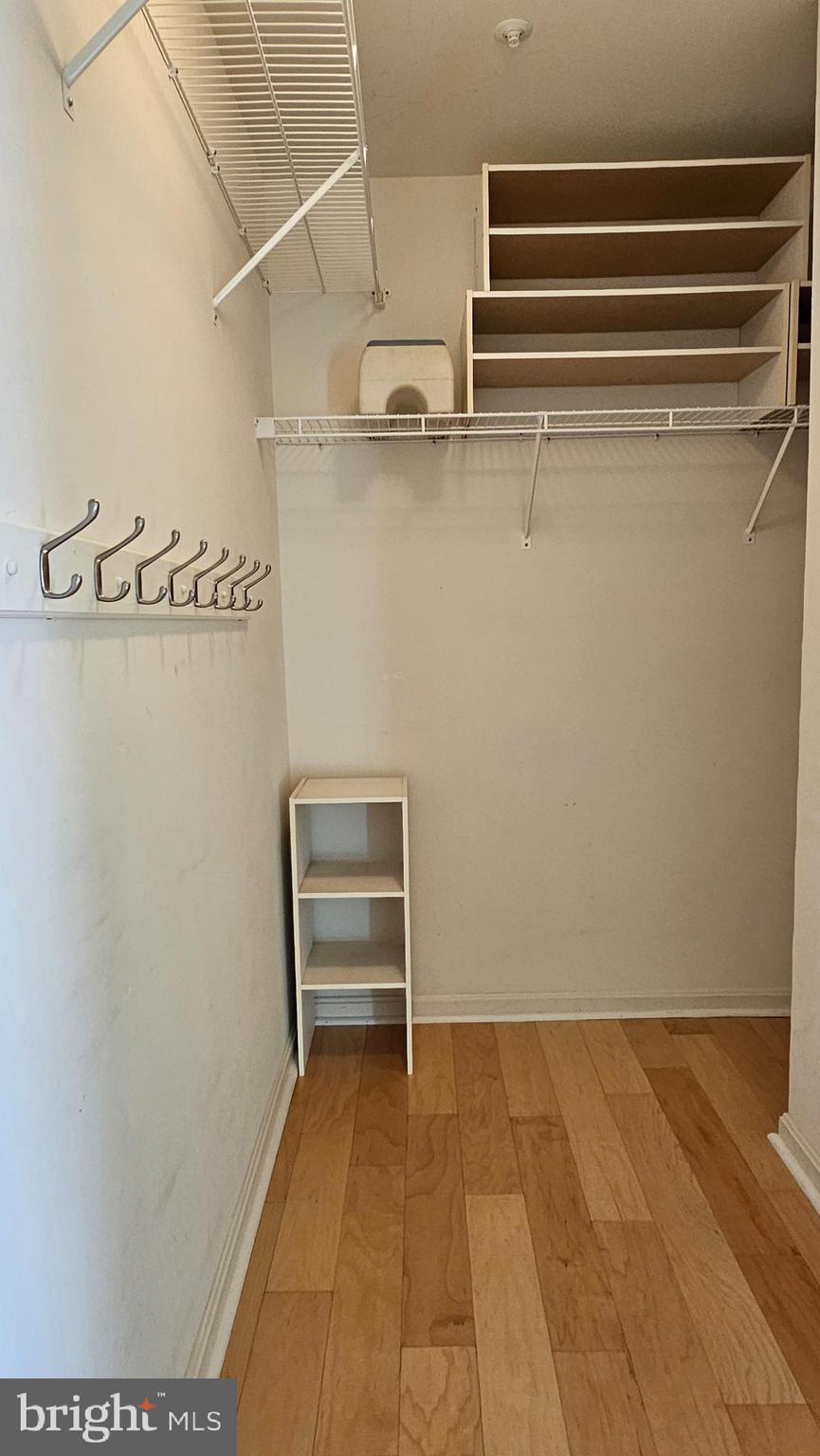 2001 Rudy Serra Drive, Unit 1B Sykesville, MD 21784 - Photo 17 of 27 Closet Wraps Around the Corner